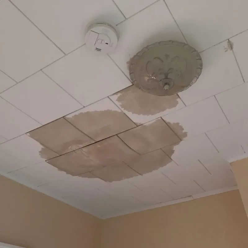 Ceiling Water Damage Repair in Greer County, OK