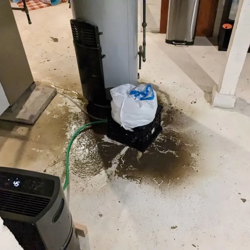 Sewage Backup Cleanup Service in Greer County, OK